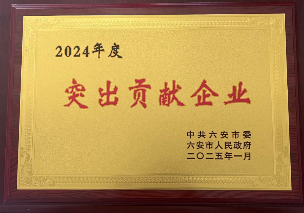 六安bv伟德源自英国始于1946荣获“突出贡献企业”